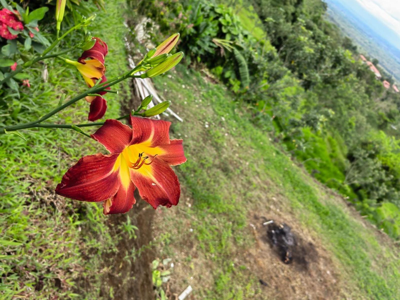 Encanto Arenal Lodge La Fortuna ภายนอก รูปภาพ